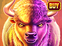 Awesome Buffalo