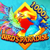 Bird's Paradise - Flying Tiger