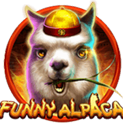 Funny Alpaca