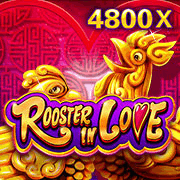 Rooster In Love