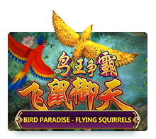 Bird Paradise - Flying Squirrels