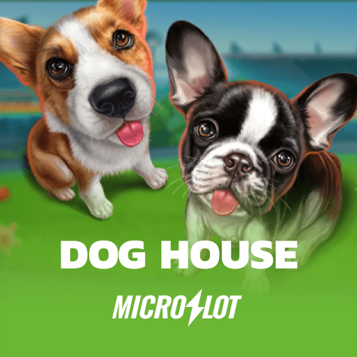 Doghouse