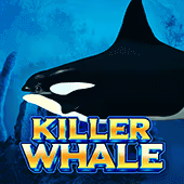 Killer Whale