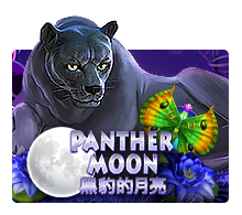 Panther Moon