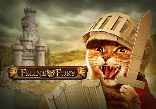 Feline Fury