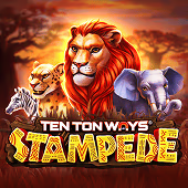 Ten Ton Ways Stampede