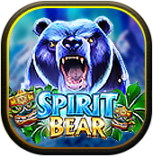 Spirit Bear